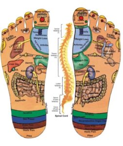 Scopri di più sull'articolo La riflessologia plantare – un massaggio mirato