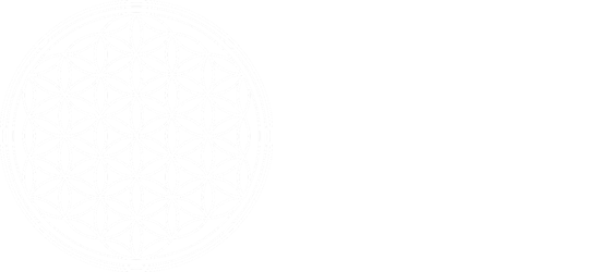 Logo Evolvi Con Gioia